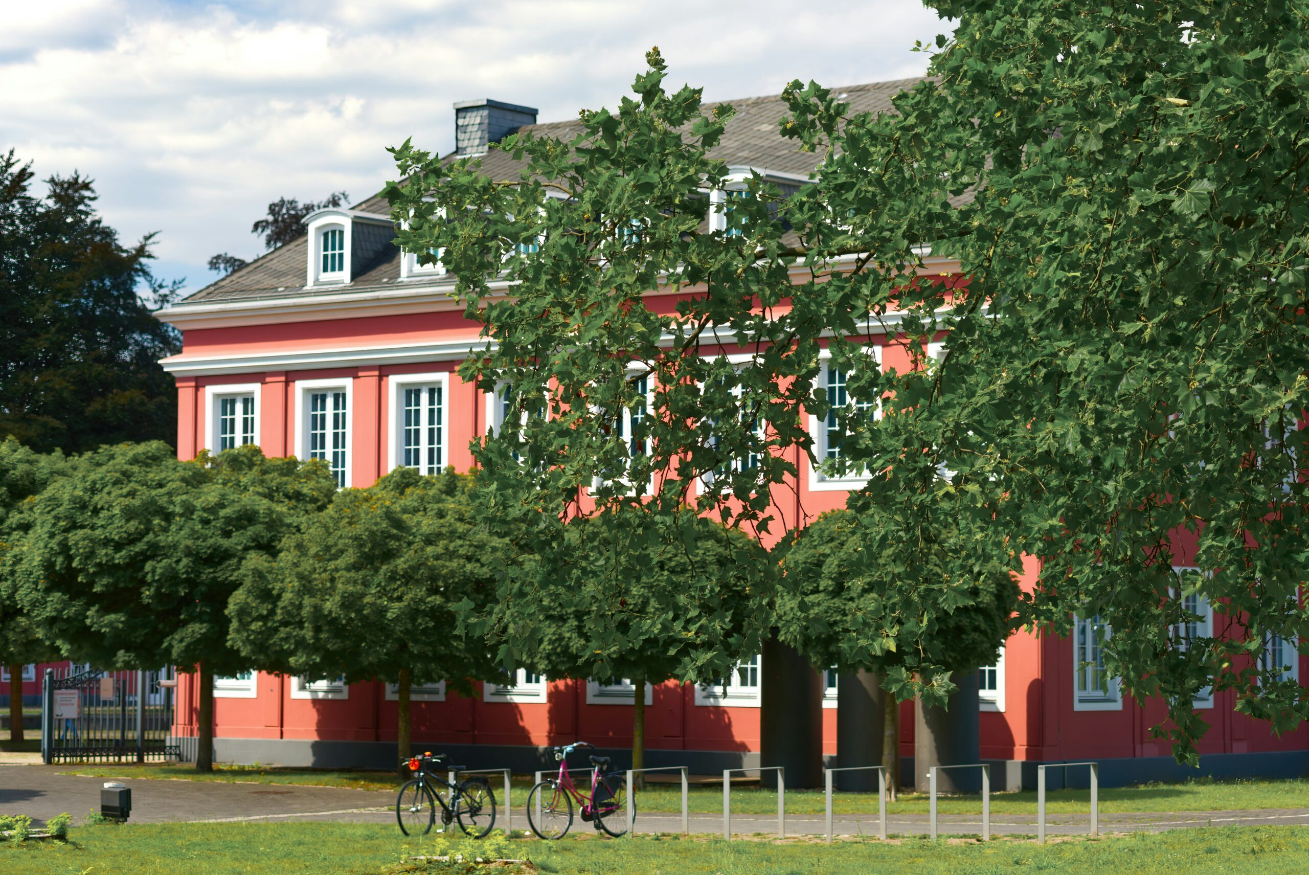 programme scolaire, Norvège, études à l’étranger, immersion académique, école en Norvège, séjour éducatif, seconde rétho, expédis, bourse, rétho, apprendre l'anglais, anglais, formule standard plus, host family.