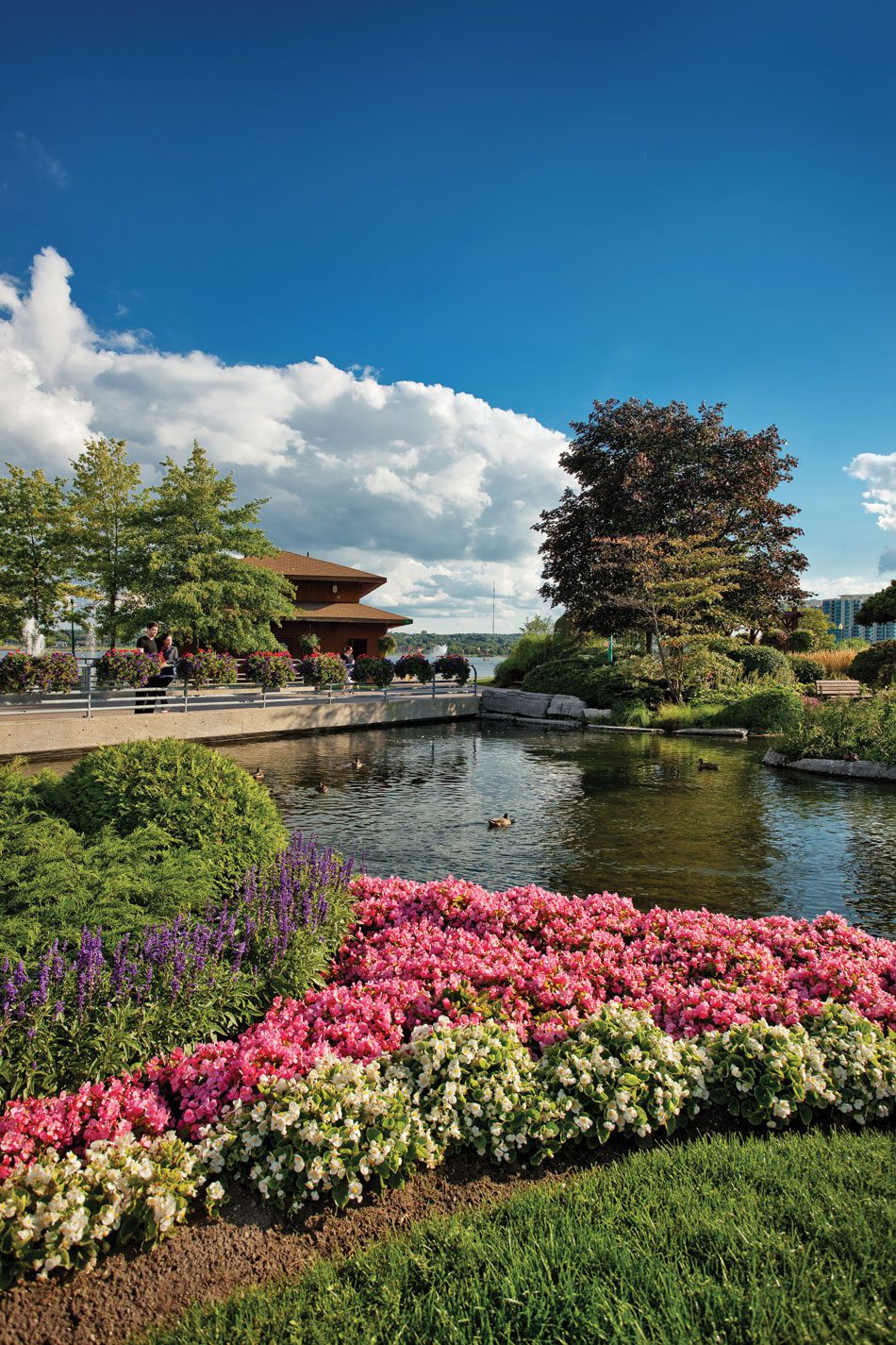 programme scolaire, Canada, Ontario, Simcoe, district scolaire de Simcoe, études à l’étranger, immersion académique, école au Canada, séjour éducatif, seconde rétho, expédis, bourse, rétho, apprendre l'anglais, anglais, immersion linguistique, host family