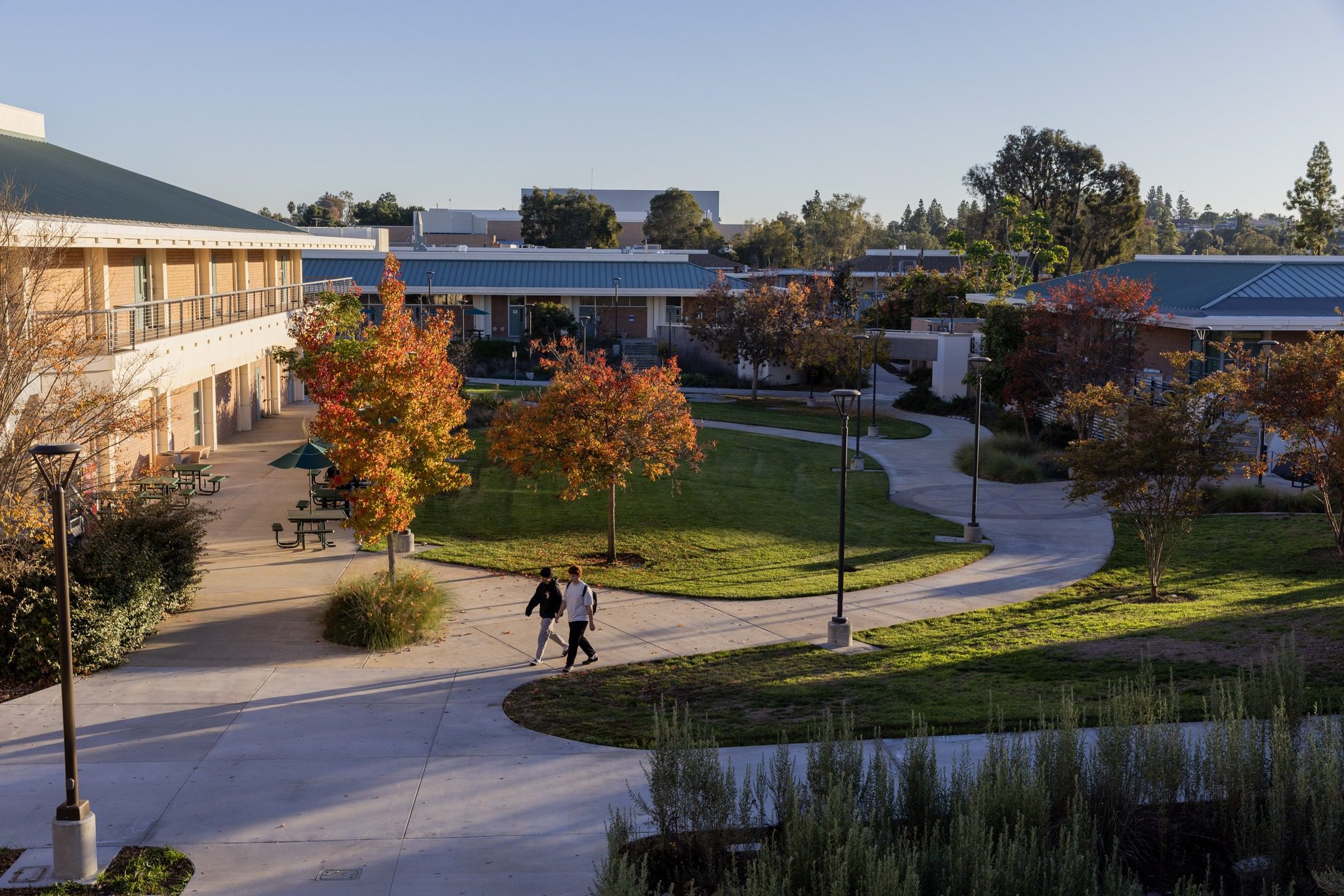 Gap Year USA - Grossmont college San Diego college - année sabbatique - apprendre l'anglais